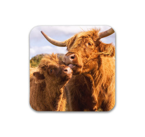 To buy a print or any of the below please click on the images